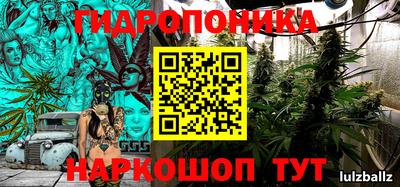 хмурый Малгобек