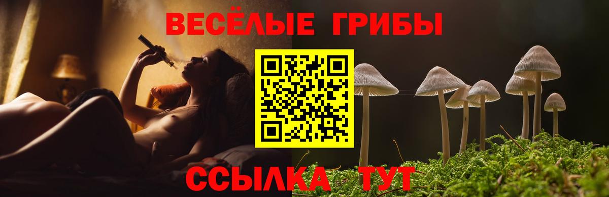 Звенигород  Псилоцибиновые грибы Magic Shrooms  Вход с VPN 